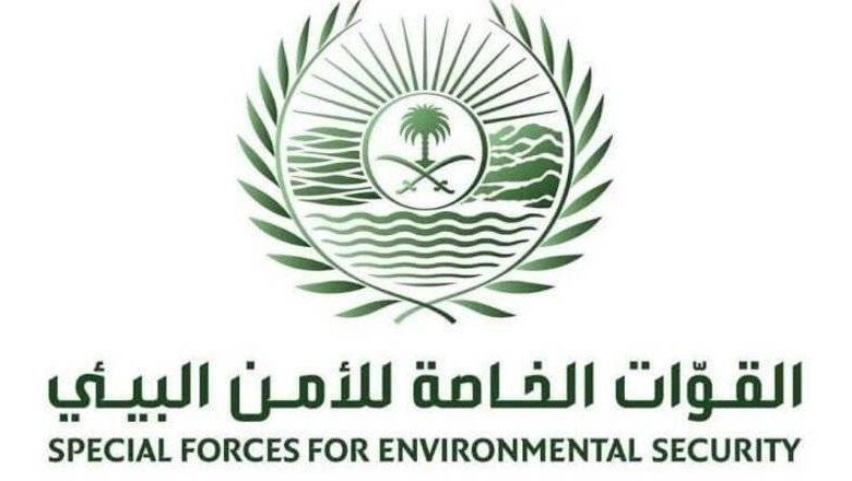 «الأمن البيئي» تضبط مخالفَيْن لنظام البيئة لتخزينهما وبيعهما حطباً محليّاً في الرياض - أخبار السعودية