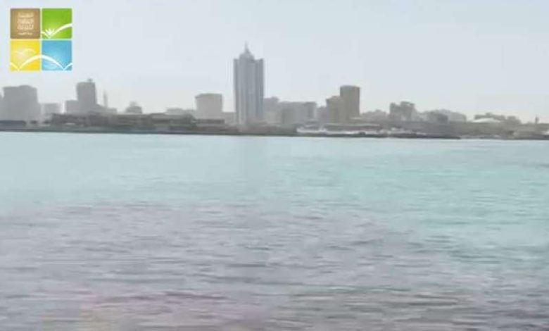 «البيئة» ترصد عوالق بنية في جون الكويت تسبب اختناق الأسماك
