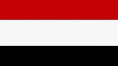 الحكومة اليمنية: السماح بالسفر بجوازات من صنعاء مرهون بالهدنة وليس اعترافاً بالحوثيين - أخبار السعودية