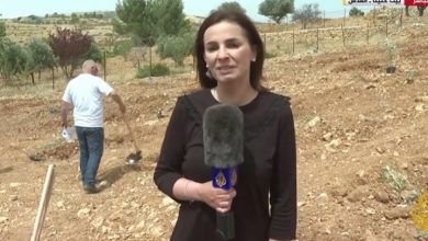 فيديو: حديث مؤثر من نجوان سمري بأول إطلالة بعد اغتيال زميلتها شيرين أبو عاقلة
