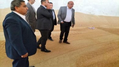 مديرية التموين والرقابة الادارية تتفقد صوامع القمح بالاسكندرية