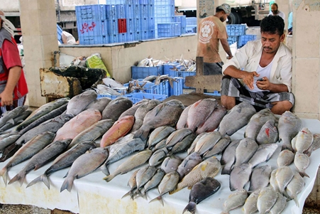 مقتل 4 على الأقل وإصابة أكثر من 30 في انفجار قنبلة بسوق للأسماك باليمن