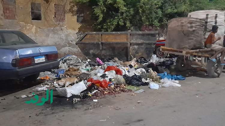 أكوام القمامة تحتضن عاصمة الشباب والثقافة الإفريقية 