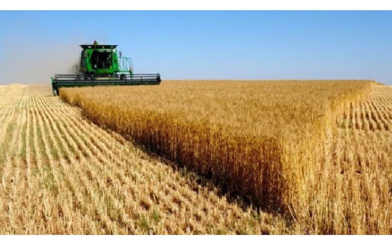 أوكرانيا تحذر من نقص عالمي في القمح وارتفاعات جديدة في الأسعار
