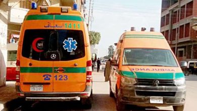 إصابة 15 شخصًا في حادث مروري  غرب الإسكندرية