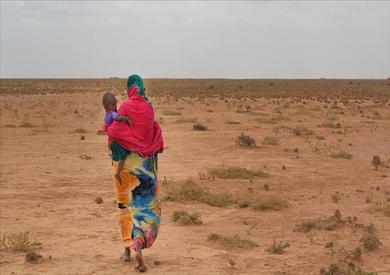الفاو: مستويات كارثية من انعدام الأمن الغذائي والمجاعة في الصومال بسبب الجفاف