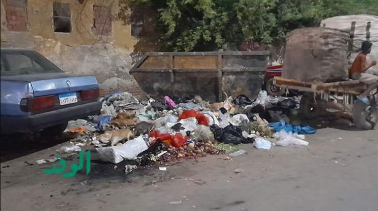 الوفد ترصد: شوارع أسوان أسيرة أكوام القمامة.. والأهالي يستغيثون
