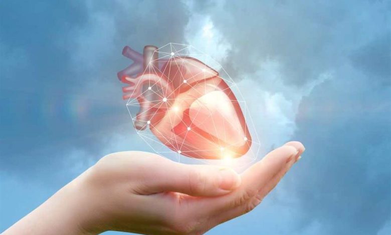 دراسة: 3 فئات أكثر عرضة للإصابة بأمراض القلب