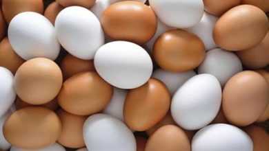 ضبط 2500 طبق بيض غير صالح للاستهلاك في إربد