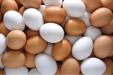 ضبط 2500 طبق بيض غير صالح للاستهلاك في إربد
