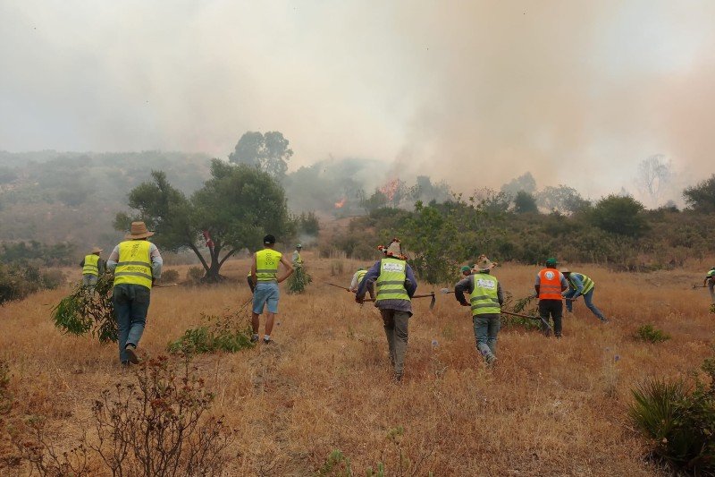 حريق غابوي يستنفر جهود الإطفائيين بوزان