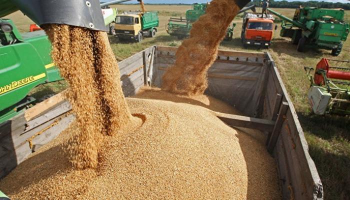 أوكرانيا: سيتم تصدير الحبوب برعاية الأمم المتحدة عبر هذه الموانئ