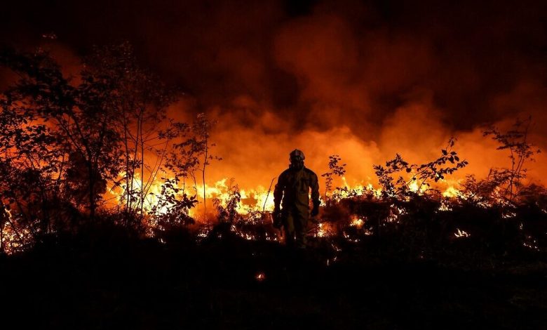 استمرار الحرائق في أوروبا الغربية تحت تأثير موجة الحر