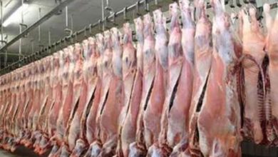 الأمانة: عقوبات مغلظة لمخالفة الاشتراطات الصحية لمحال بيع اللحوم