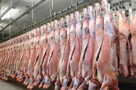 الأمانة: عقوبات مغلظة لمخالفة الاشتراطات الصحية لمحال بيع اللحوم