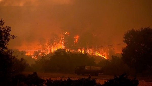 البرتغال: حرائق الغابات تلتهم أكثر من 25 ألف هكتار