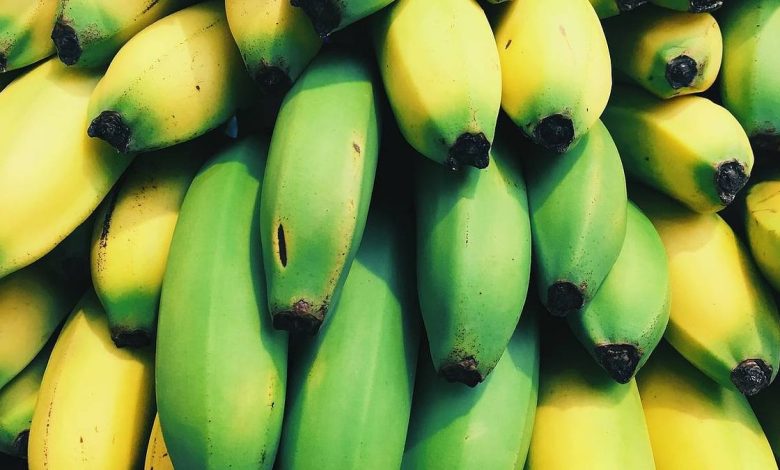 تناول الموز الأخضر يوميًا يساعد في الوقاية من السرطان