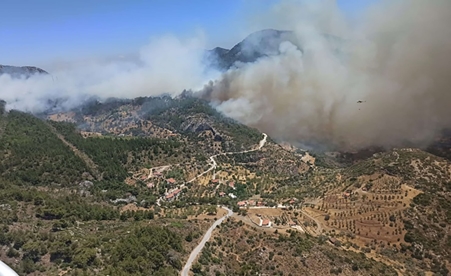 حريق غابات يستعر بفعل الرياح في جنوب غرب تركيا