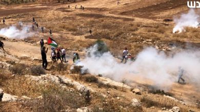 فيديو وصور| إصابات بالرصاص والاختناق في مواجهات مع الاحتلال بالضفة