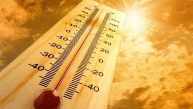 استمرار الأجواء شديدة الحرارة وارتفاع نسبة الرطوبة بالفيوم