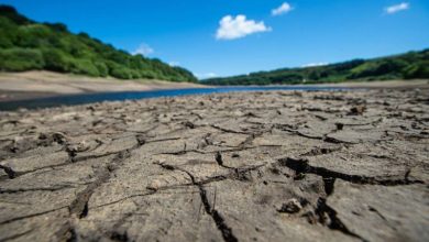 إعلان حالة الجفاف في مناطق من جنوب غرب بريطانيا - أخبار السعودية