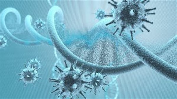 الأعراض حمى وسعال وقئ.. لانجيا هنييا فيروس فتاك جديد يظهر في الصين