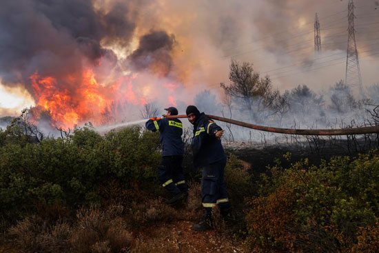 الجزائر: تسجيل ٢٠ حريقا من بينها ١٠ حرائق تم السيطرة عليها اليوم