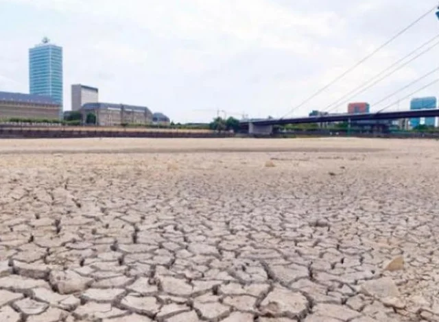 الجفاف يهدد نصف أوربا (تقرير)