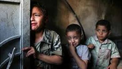 المفوضة السامية لحقوق الإنسان تطالب بإجراء تحقيقات فورية ومستقلة ونزيهة إثر التصعيد الأخير على غزة