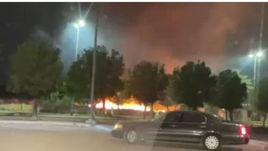 بالفيديو.. اندلاع حريق في حديقة الملك فهد بمنطقة المدينة المنورة وسط صواعق البرق