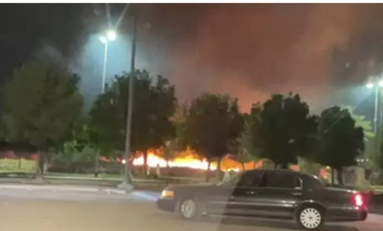 بالفيديو.. اندلاع حريق في حديقة الملك فهد بمنطقة المدينة المنورة وسط صواعق البرق