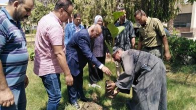جامعة الزقازيق تشارك في مبادرة زراعة مليون شجرة مثمرة