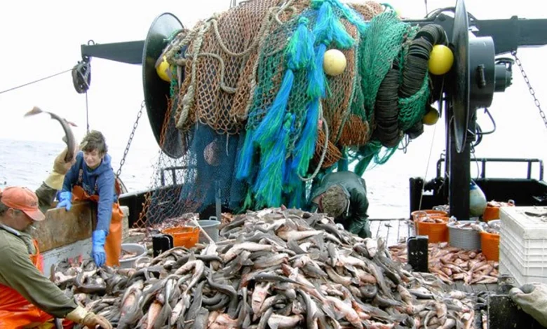 مهنيو الصيد يحذرون من استغلال الاقتصاد التضامني لنهب الثروة السمكية