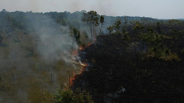 حرائق تشتعل في غابات الأمازون المطيرة في البرازيل