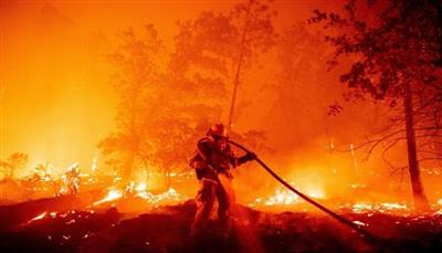 آلاف النازحين جراء حريق مصنع أخشاب بولاية كاليفورنيا الأمريكية