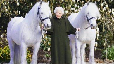 الملكة إليزابيث وحب من نوع خاص للخيول- الصورة من حساب The Royal Family على إنستغرام
