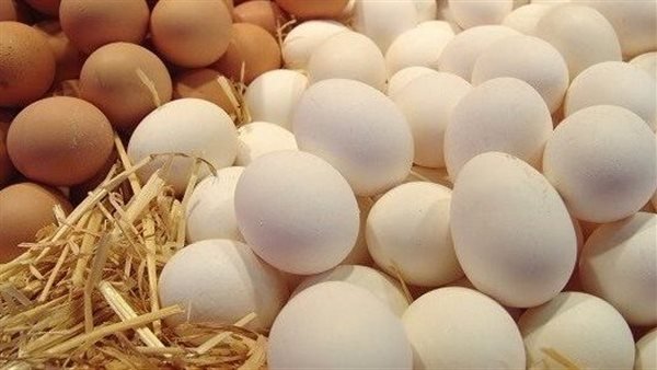 لا يوجد دليل قاطع لربط تناول البيض بأمراض القلب