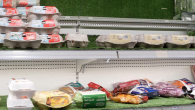 «حماية المستهلك» تنذر بزيادة أسعار البيض 40% خلال أيام