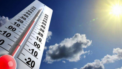استمرار الانخفاض التدريجي في درجات الحرارة والعظمى 28  درجة بالفيوم