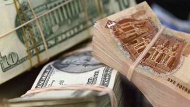 الدولار يقترب من 20 جنيهاً بالأسواق المصرفية المصرية - أخبار السعودية