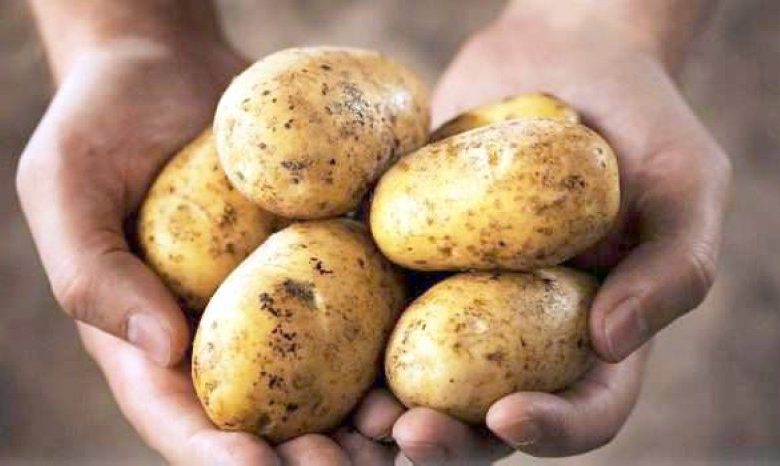 دراسة: البطاطس تساعد في تخفيض الوزن! - أخبار السعودية