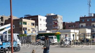 الإسماعيلية: استمرار أعمال صيانة أعمدة الإنارة بالقنطرة شرق