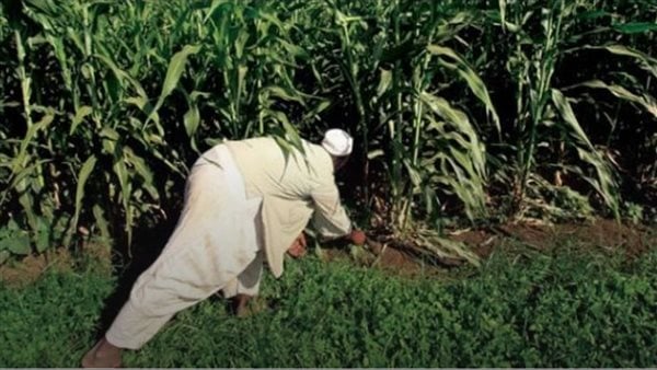 السودان وموارده الطبيعية تحت تصرف آلية التحول الأخضر