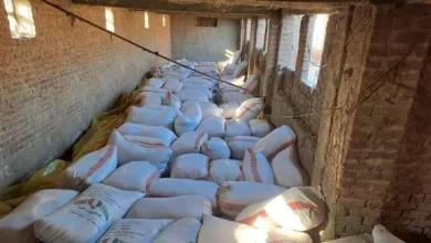 ضبط 45 طن أرز شعير داخل مخزن بالبحيرة قبل بيعها بالسوق السوداء