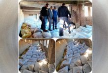 ضبط 45 طن أرز شعير داخل مخزن بشبراخيت في البحيرة