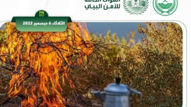 ضبط 4 مخالفين لنظام البيئة لإشعالهم النار في أراضي الغطاء النباتي - أخبار السعودية