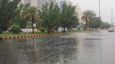 «الأرصاد»: أمطار رعدية وتساقط البرد على معظم المناطق من الخميس إلى السبت - أخبار السعودية
