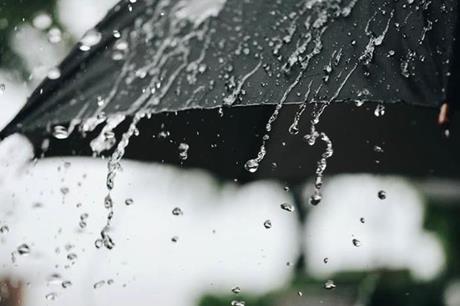 الأرصاد: الشوبك أعلى كمية هطول مطري حتى صباح اليوم
