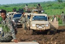 الصومال.. مقتل 40 مسلحاً من “الشباب” في عملية أمنية