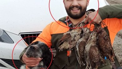 كلب يقتل صياداً بالرصاص! - أخبار السعودية